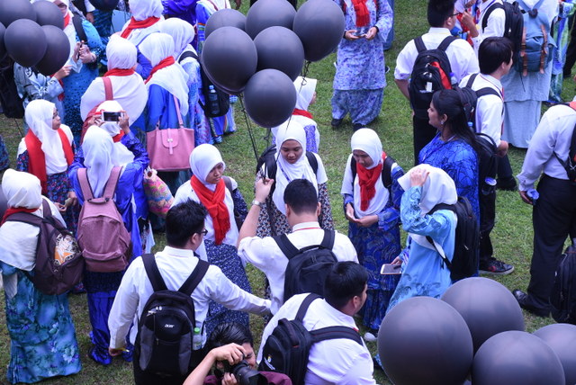 279 DSC 0354